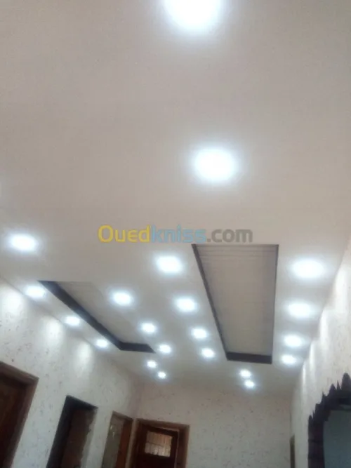 Faux plafond .  platre