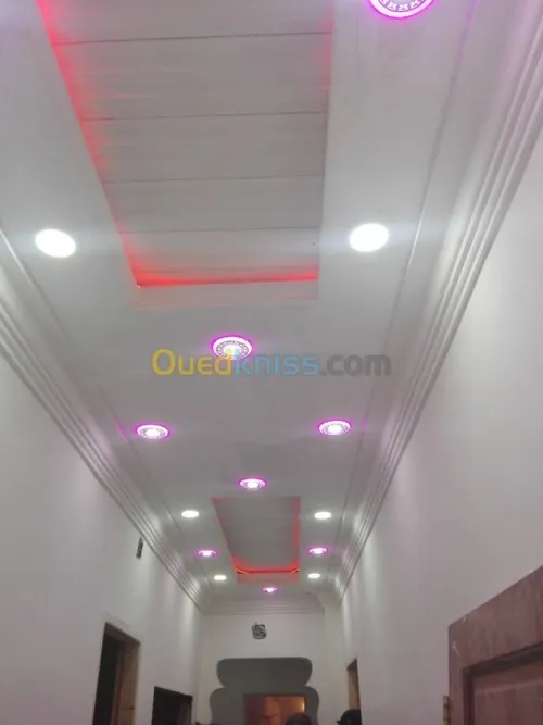 Faux plafond .  platre