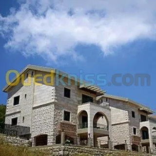 Multi _travaux construction