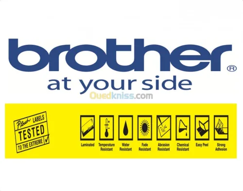 Etiqueteuse mobile Brother PT-E550 WVP