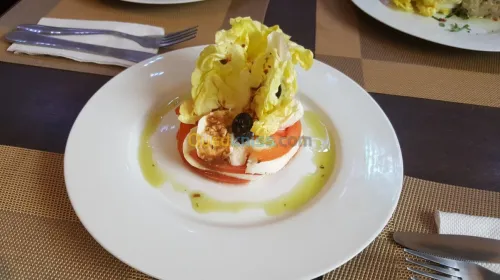 Cuisinière 