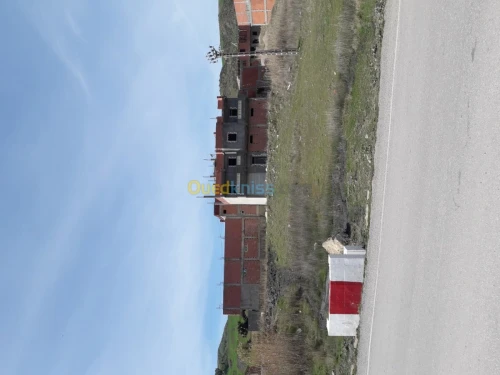 Vente Terrain Setif Ain roua