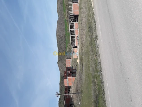 Vente Terrain Setif Ain roua