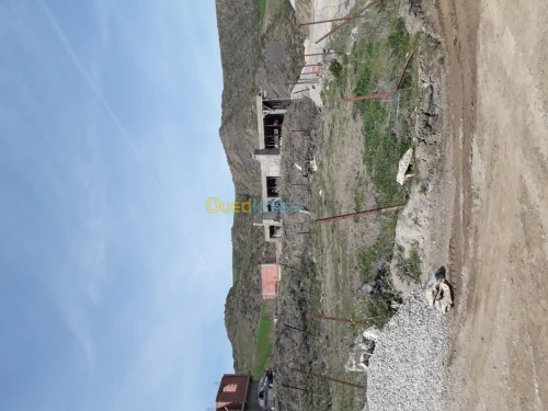 Vente Terrain Setif Ain roua