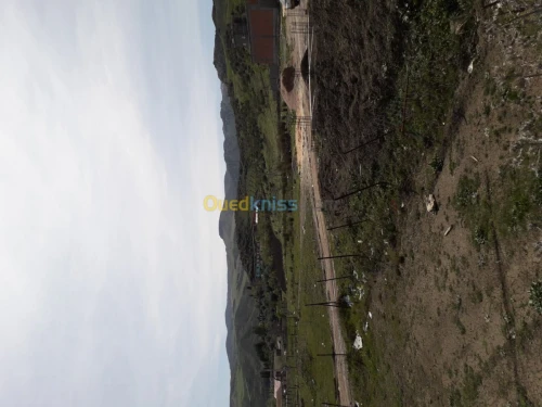 Vente Terrain Setif Ain roua