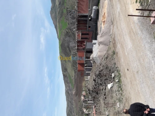 Vente Terrain Setif Ain roua