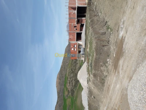 Vente Terrain Setif Ain roua