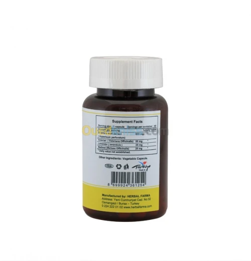 Millepertuis antidépresseur naturel