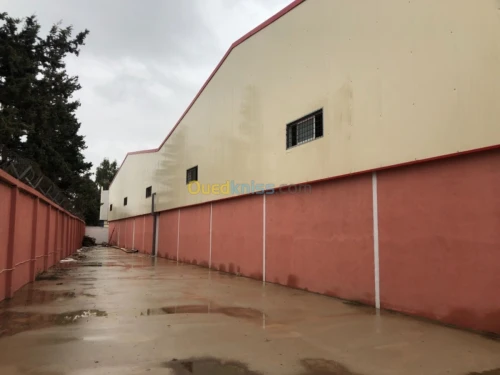 Location Hangar Alger El harrach