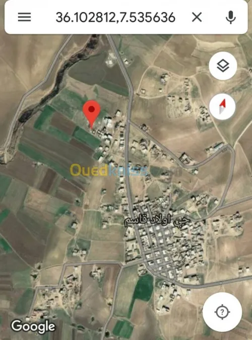 Vente Terrain Souk ahras Sedrata