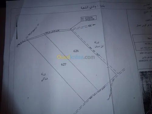 Vente Terrain Batna Oued chaaba