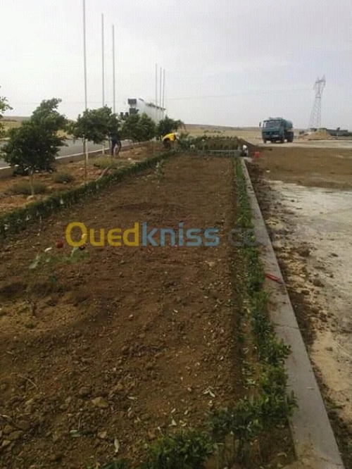  تلقيم وزبر الأشجار واستصلاح الأراضي  
