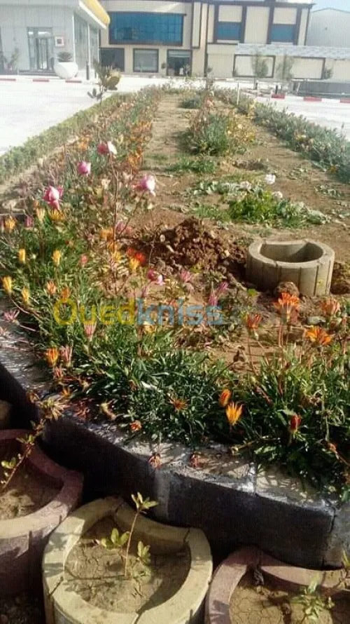  تلقيم وزبر الأشجار واستصلاح الأراضي  