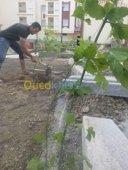  تلقيم وزبر الأشجار واستصلاح الأراضي  
