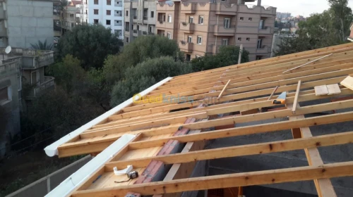 Artisan charpentier et pose du tuile 