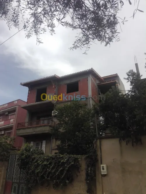 Artisan charpentier et pose du tuile 