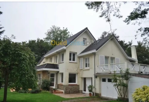 Artisan charpentier et pose du tuile 