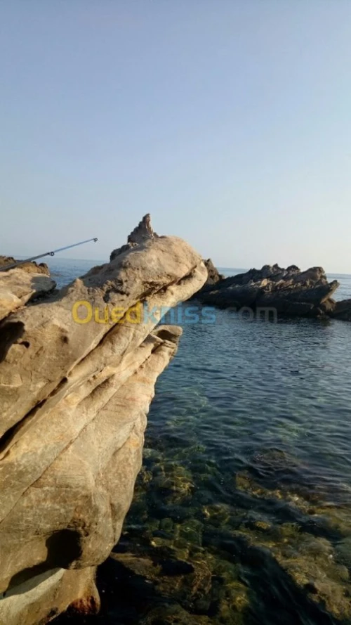 Location Appartement F3 Béjaïa Bejaia