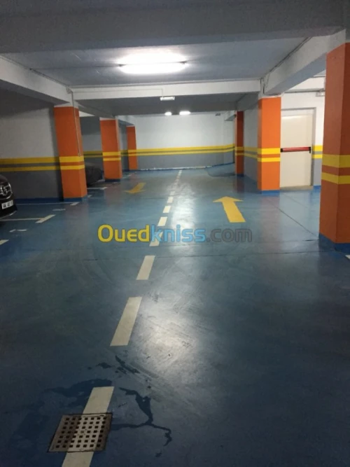 Location Appartement Alger Said hamdine