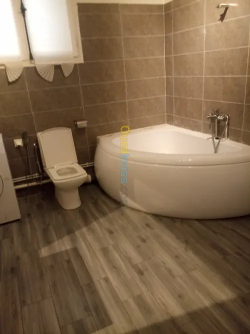 Location Appartement Studio Alger Dely brahim