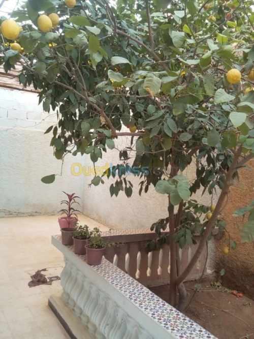 Vente Villa Bechar Bechar