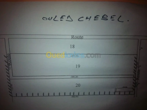 Vente Terrain Alger Ouled chebel