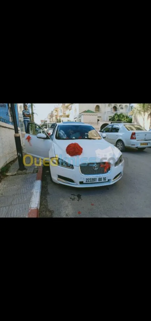 Location Nidal auto 