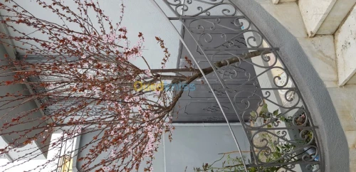Vente Villa Constantine Constantine