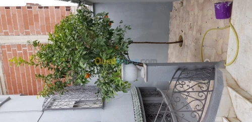 Vente Villa Constantine Constantine