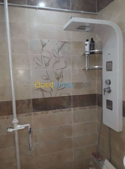 démolition -rénovation des appartement