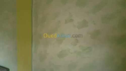 Peinture & décoration intérieure 