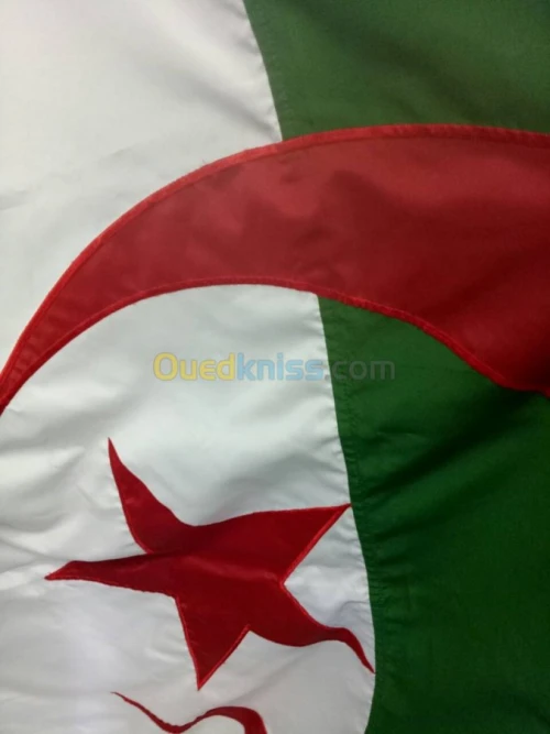 les drapeaux national algerien.