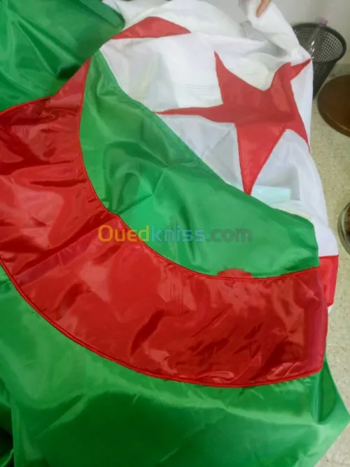 les drapeaux national algerien.