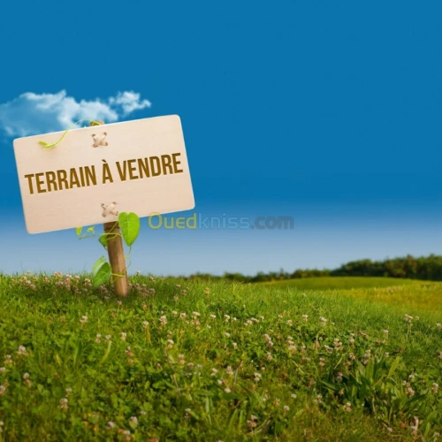 Vente Terrain Tizi ouzou Azazga