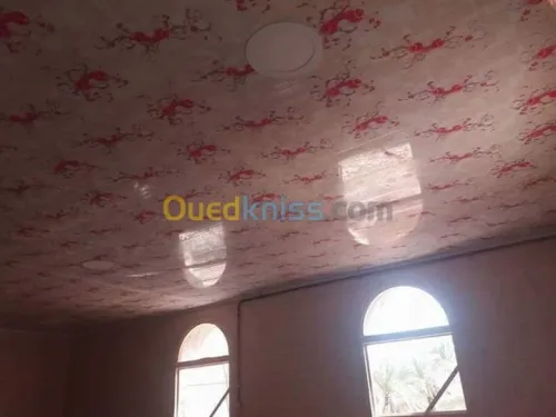Placoplatre , pvc et peinture