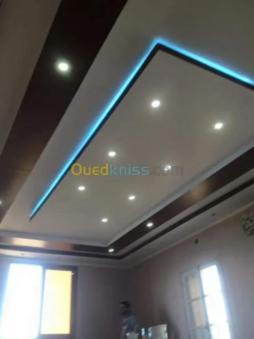 Placoplatre , pvc et peinture