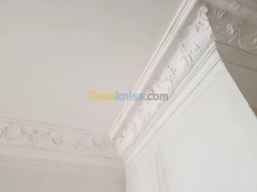 Plâtrier et dècoration placoplatre 