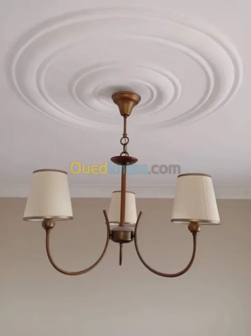 Plâtrier et dècoration placoplatre 