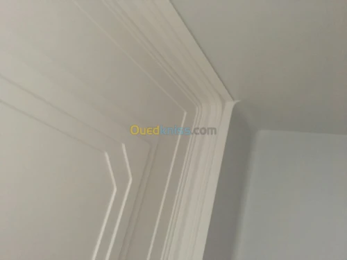 Plâtrier et dècoration placoplatre 