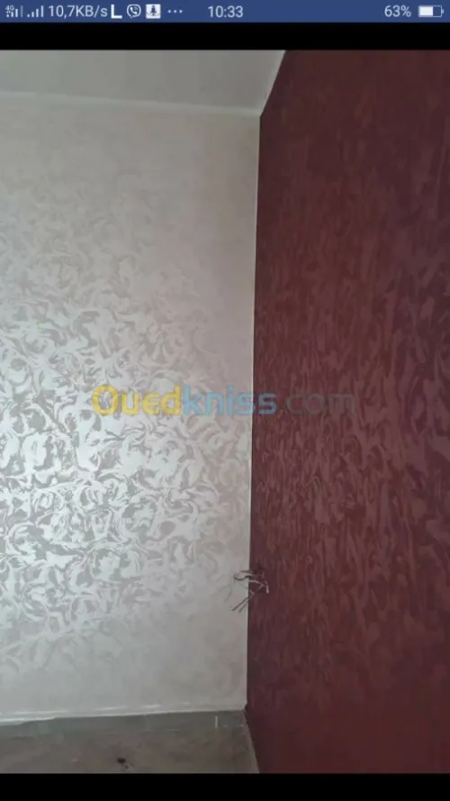 Peinture  et décoration 