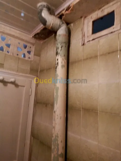 Peinture  et décoration 