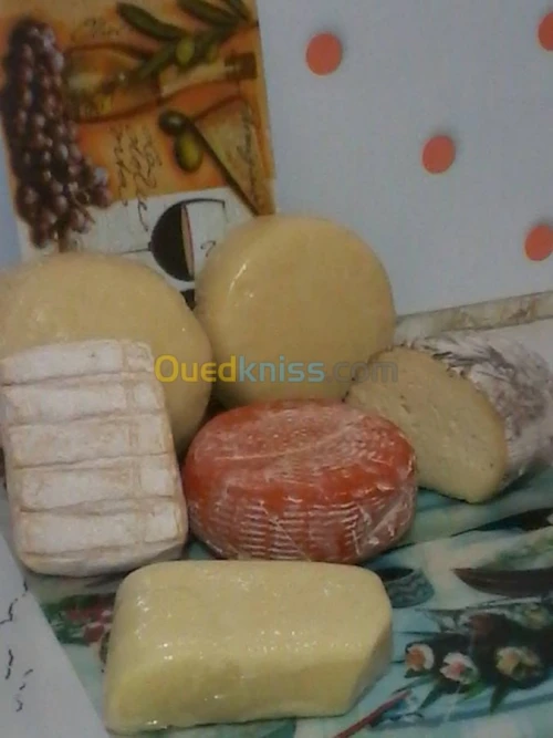 FORMATION EN FABRICATION DE FROMAGES