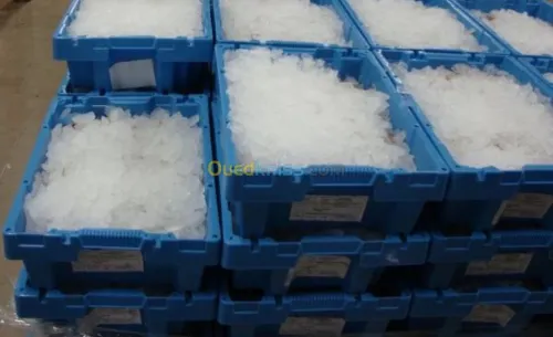Fabrication et sous traitance plastic 