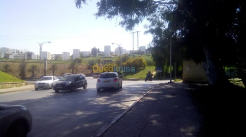 Vente Local Alger Dely brahim