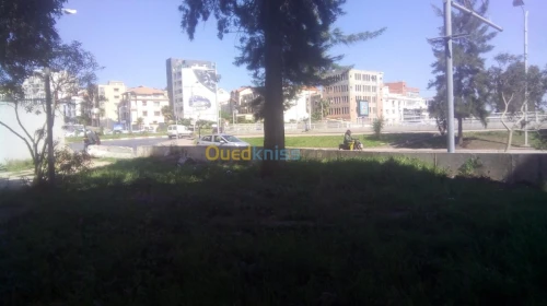 Vente Local Alger Dely brahim