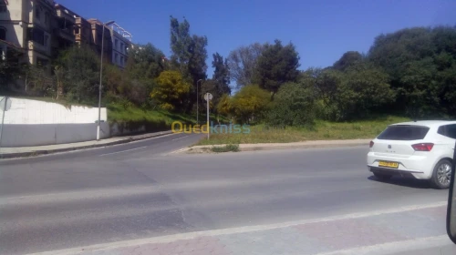 Vente Local Alger Dely brahim