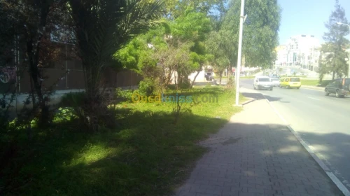 Vente Local Alger Dely brahim