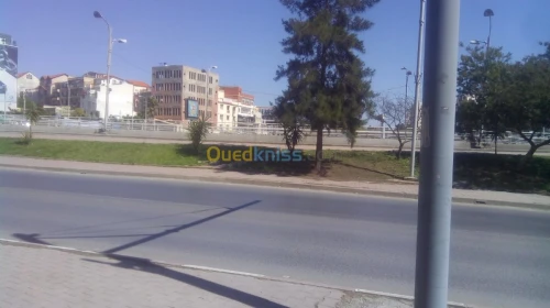 Vente Local Alger Dely brahim