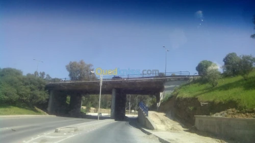 Vente Local Alger Dely brahim