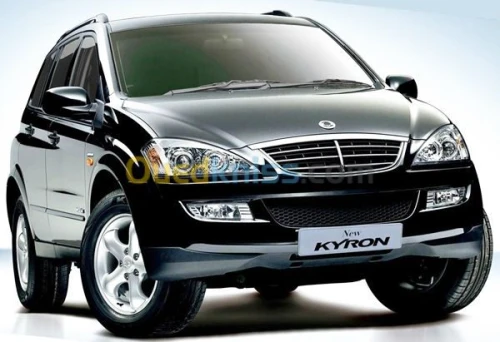 location de voiture avec ou son chauff